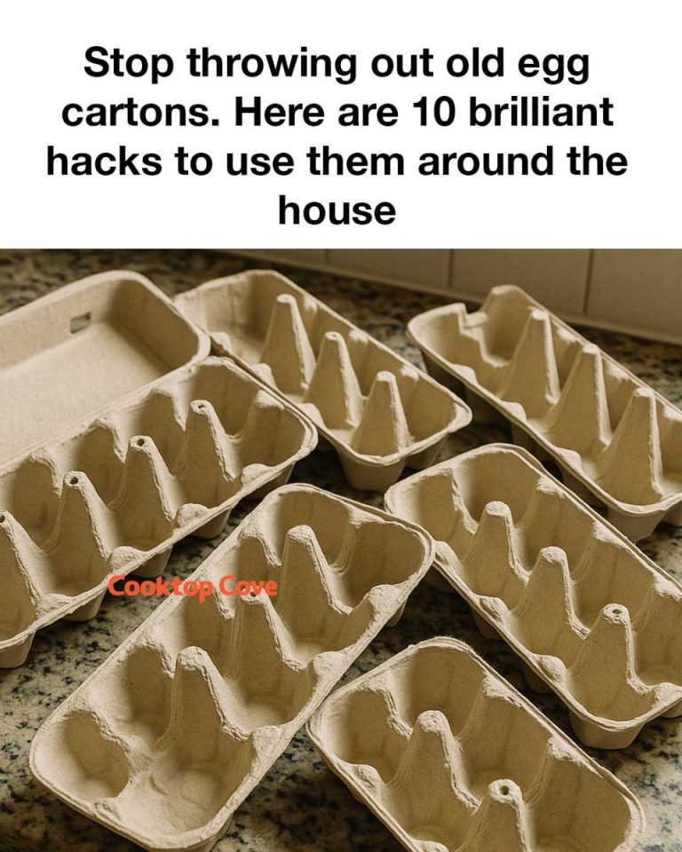 492049666 1105919591579420 8264940581670507923 N