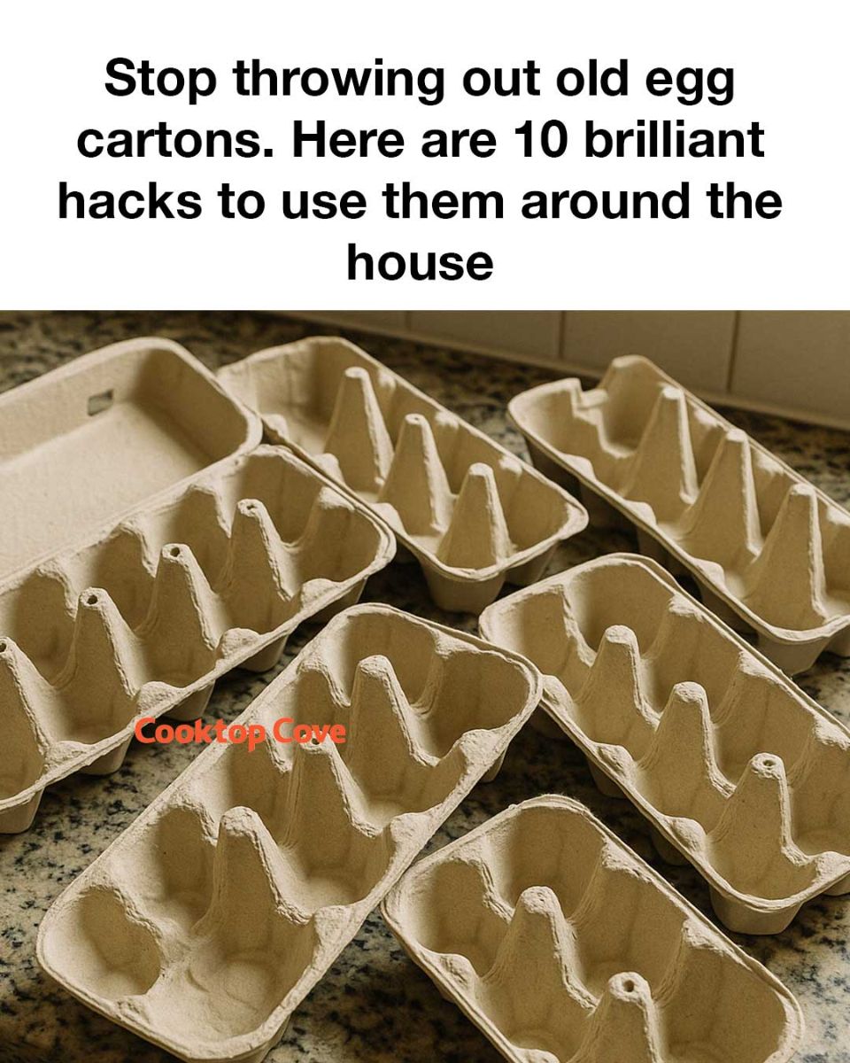 492049666 1105919591579420 8264940581670507923 N