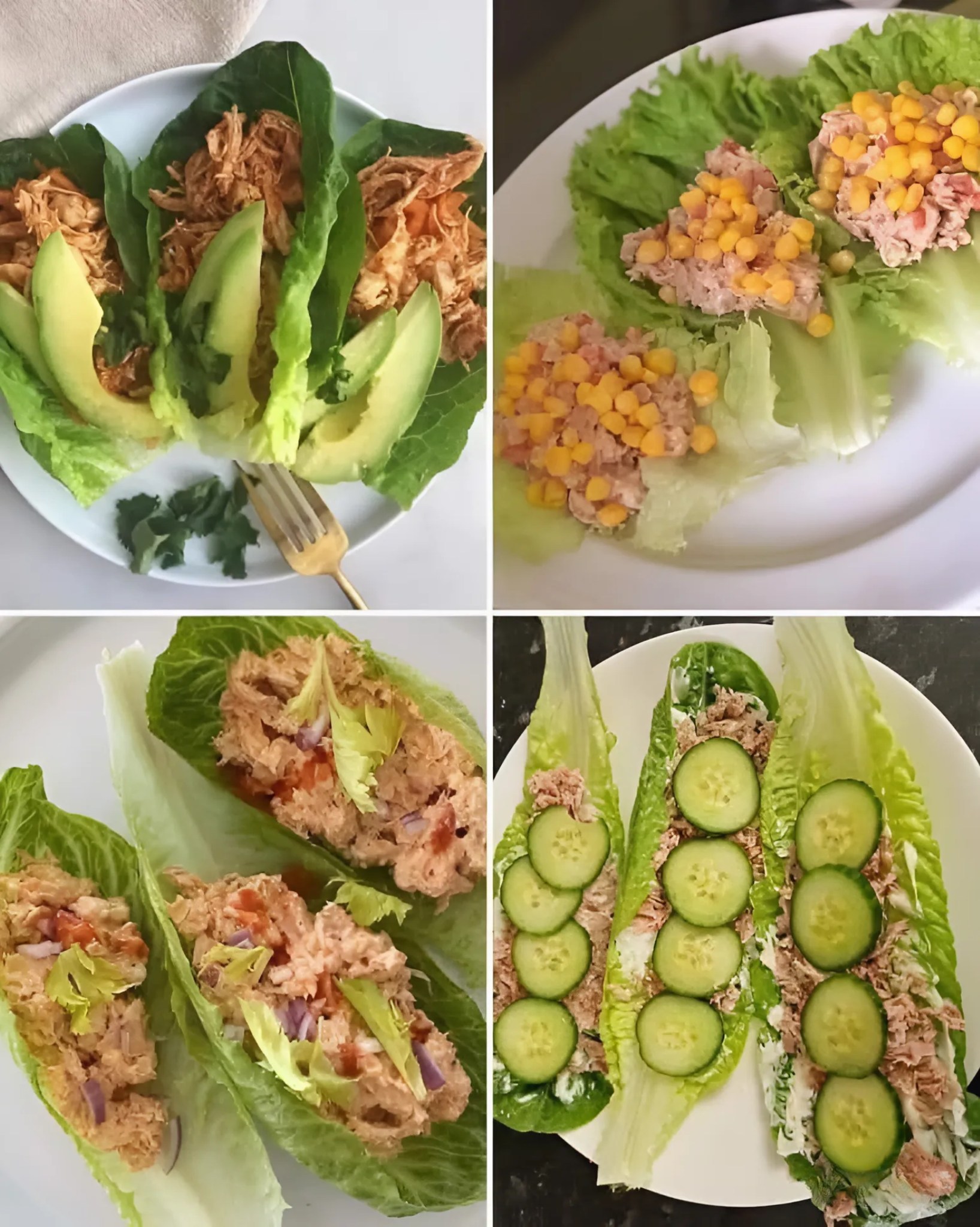 493601753 1091080189716721 5814464218335892686 N