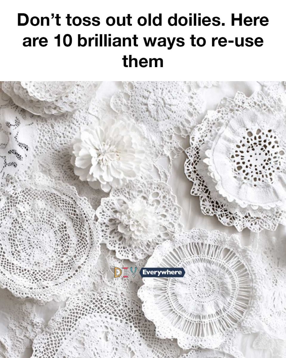 493806481 122167046840480977 5111082895040666953 N 4 739x1024 40 2