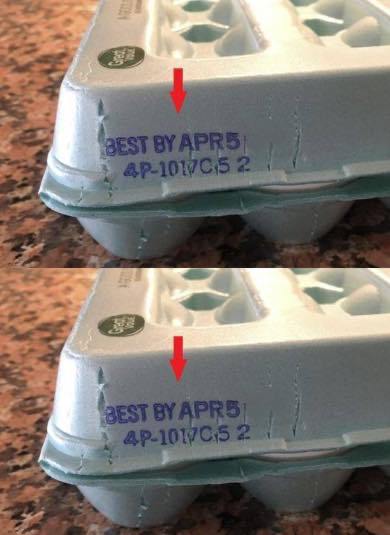 494233169 702512522274882 8403893321239495729 N