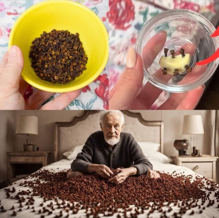 494294731 122123558552794311 910470857010075164 N