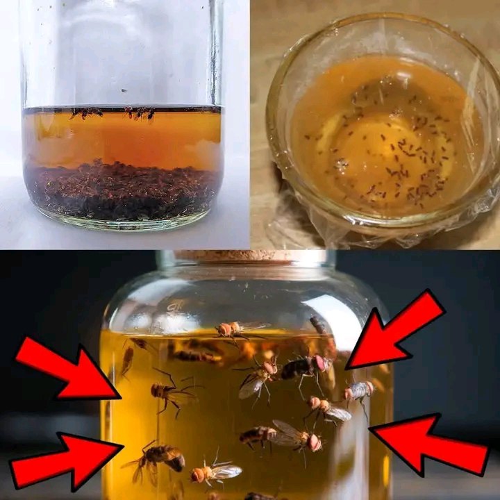 494419508 122213906450150701 8392786795782743541 N