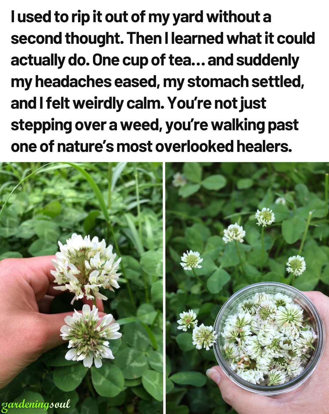 494420313 1117290793772871 8394758730147864401 N