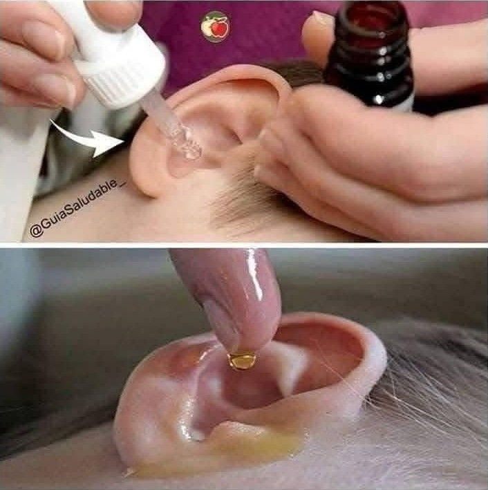 494593085 122123833160794311 4996039928899584860 N