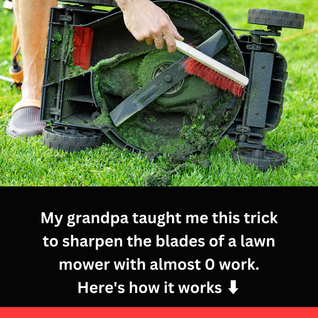 494643448 122153216612545182 588451334175979622 N