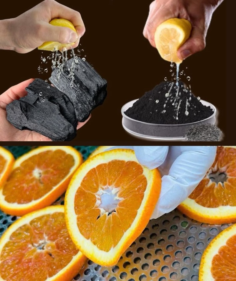 494659903 122123862584794311 1816692682358399497 N