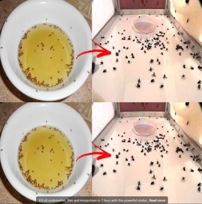 494720393 122127020660697098 2645425846810337295 N