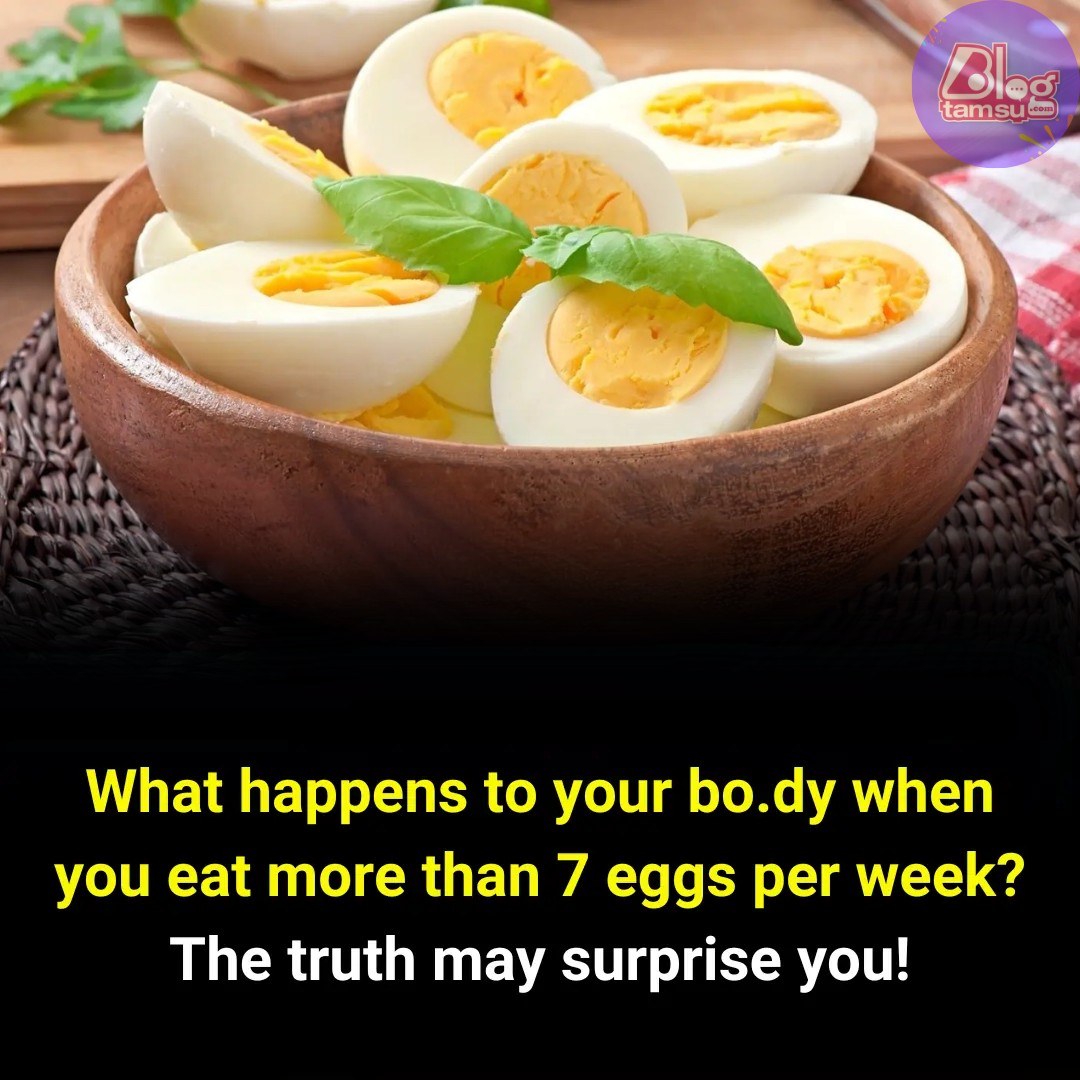 494768027 122152599812437777 3457019078433612666 N