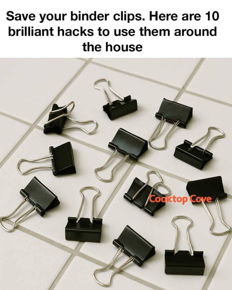 494956044 1084573893504849 4688398224308251184 N