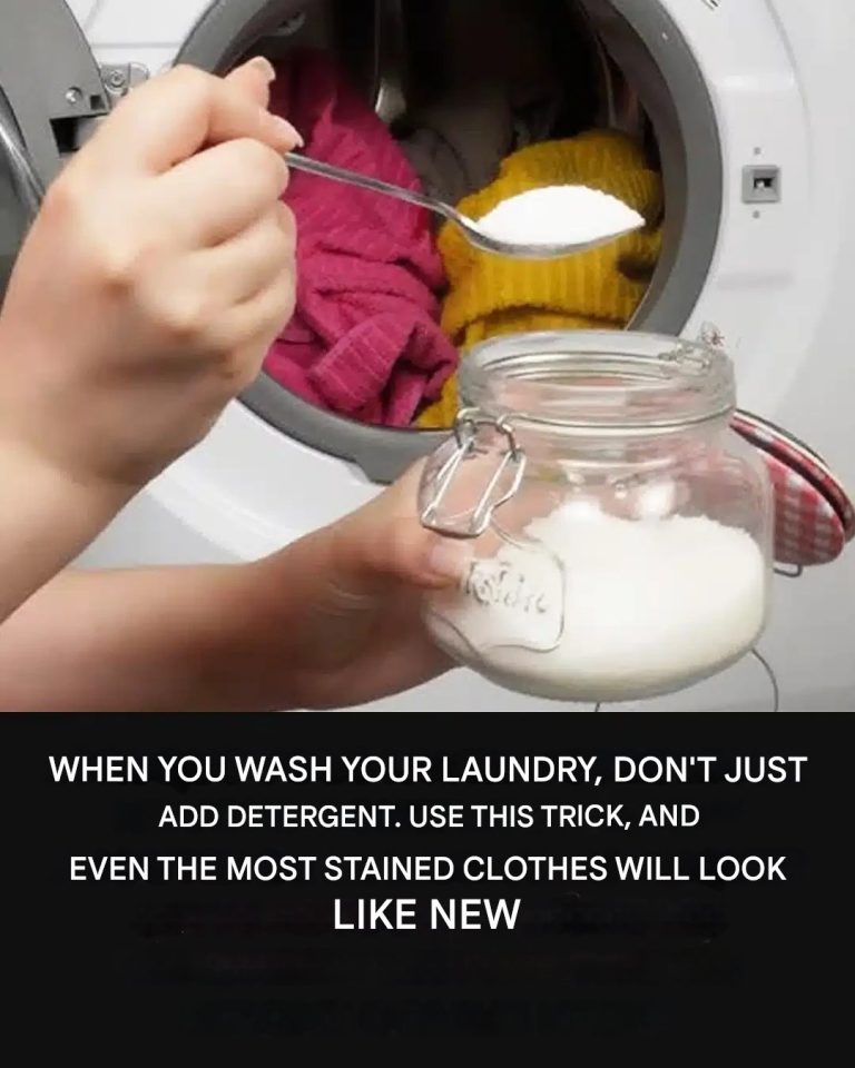 494995332 698310492769179 3161764317498616509 N