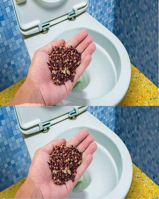 495185198 122192183114304277 5673258506050203572 N