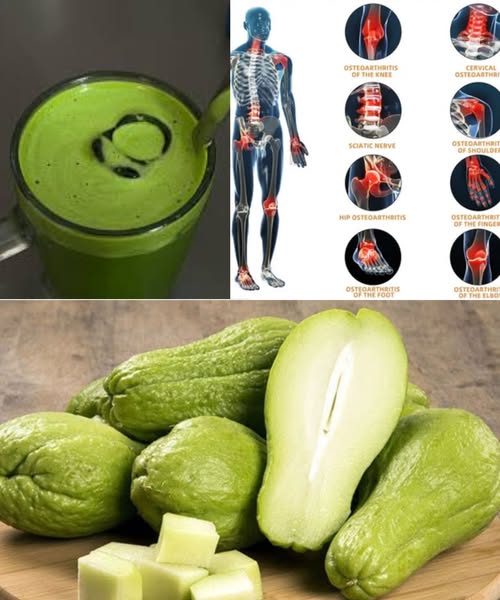 495187593 122184362306289318 4279348500269098406 N