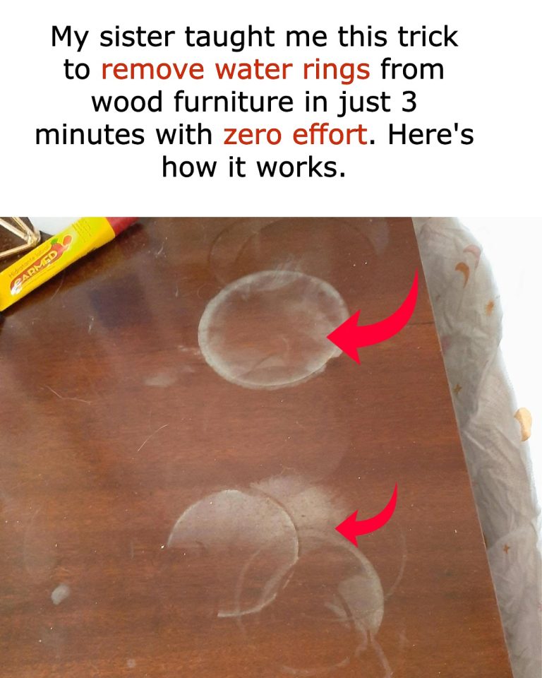 495248734 1128895939266466 6356043626058044697 N 1