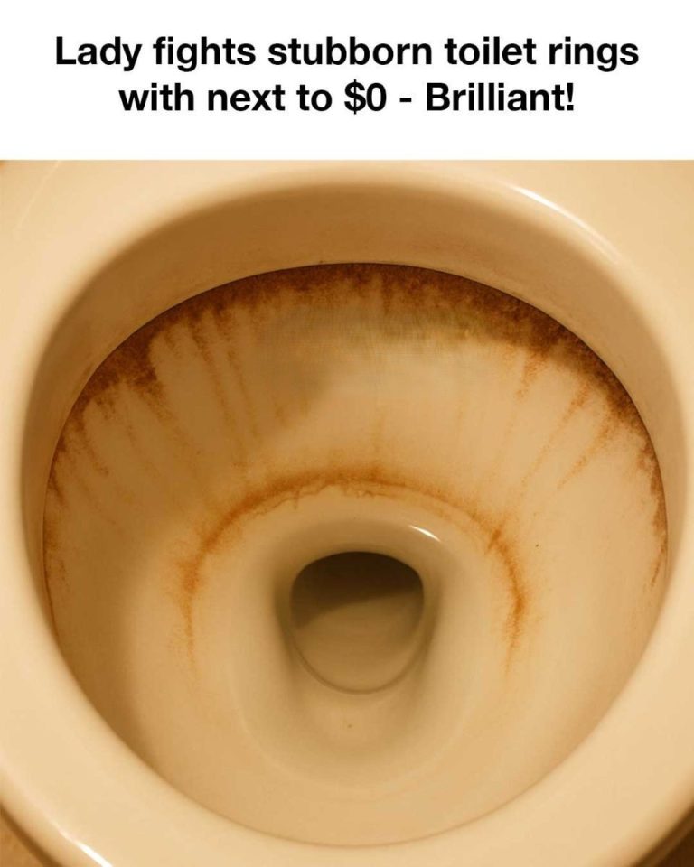 495329933 677891341847955 2047461820362957733 N