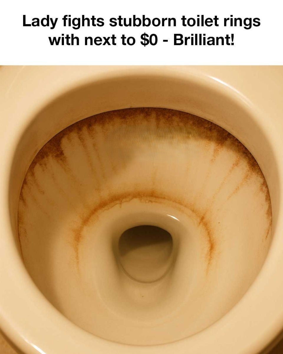 495329933 677891341847955 2047461820362957733 N