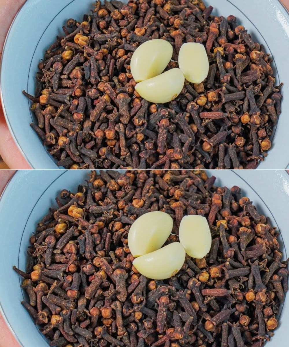 495334042 122153486954437777 5619928652135732733 N