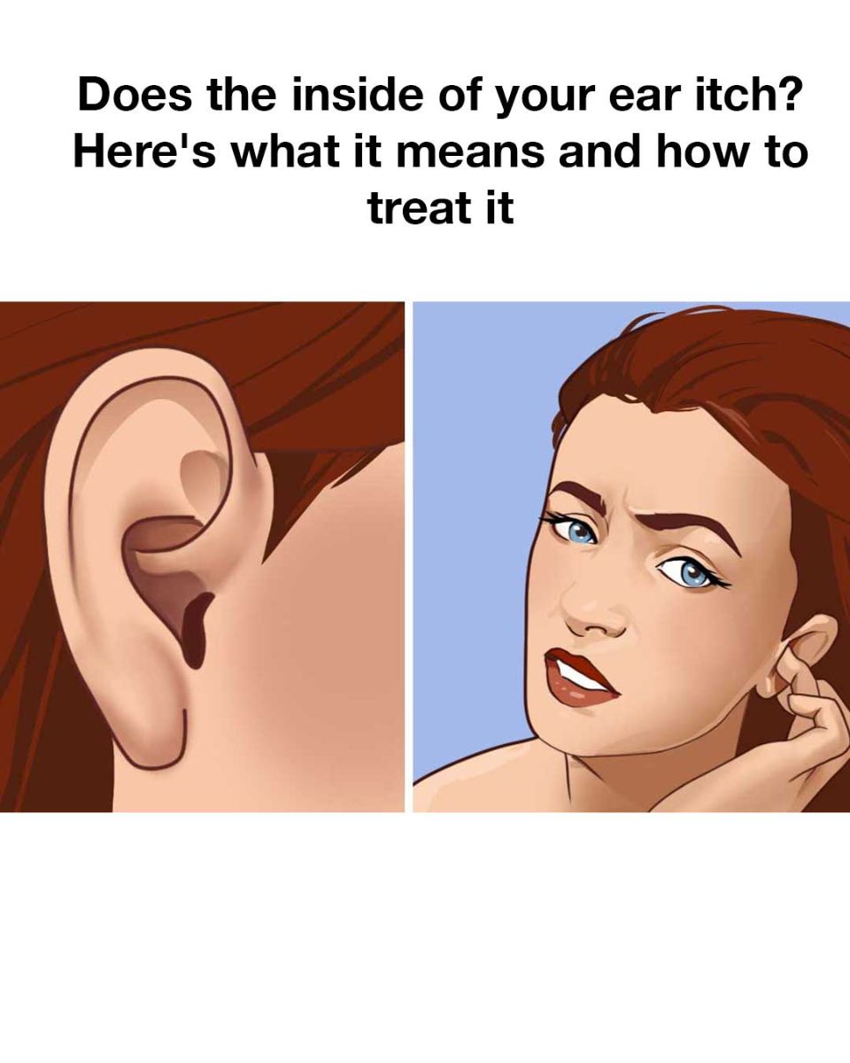 495338212 122115530840833258 8830889632357652635 N