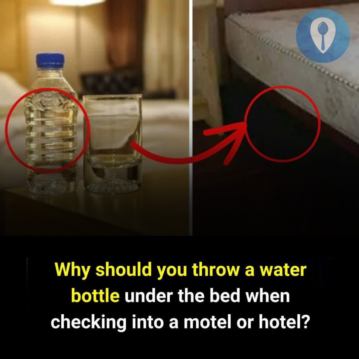 495350624 1113673550805219 4097683702173599266 N