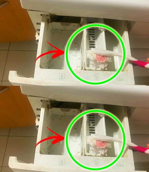 496255165 122221144652157478 5240777829683508740 N