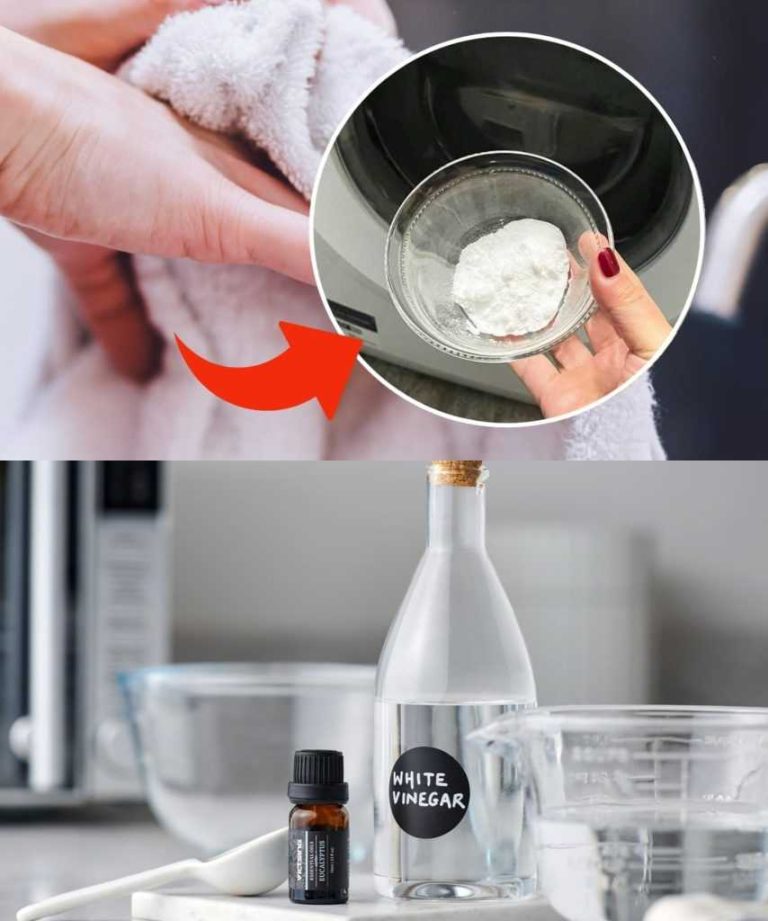 496768941 122131315784719780 8818354472067610513 N