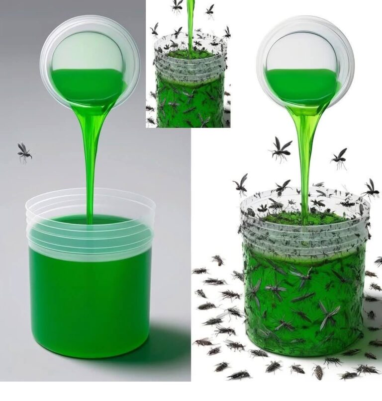 A Simple Method To Eliminate Flies And Cockroaches In One Hour