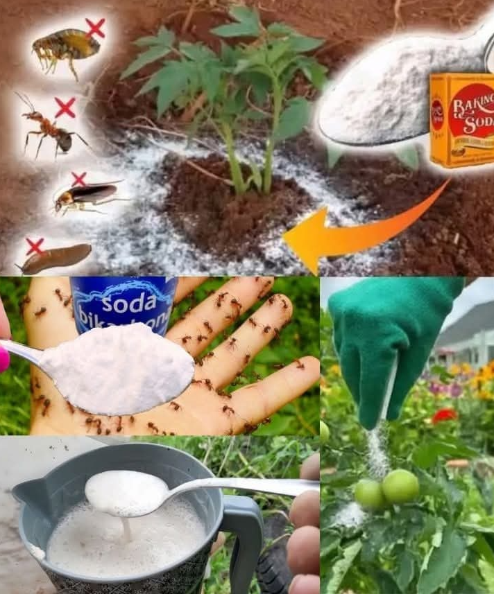 Screenshot 2025 05 05 200656