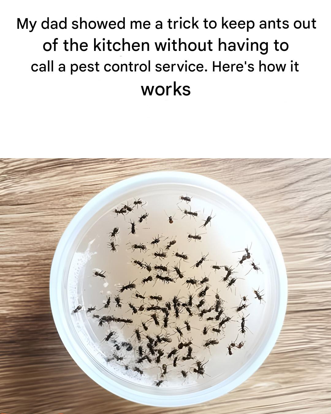 Screenshot 2024 08 02 23 02 13 803 Com.miui .notes Edit 29 1