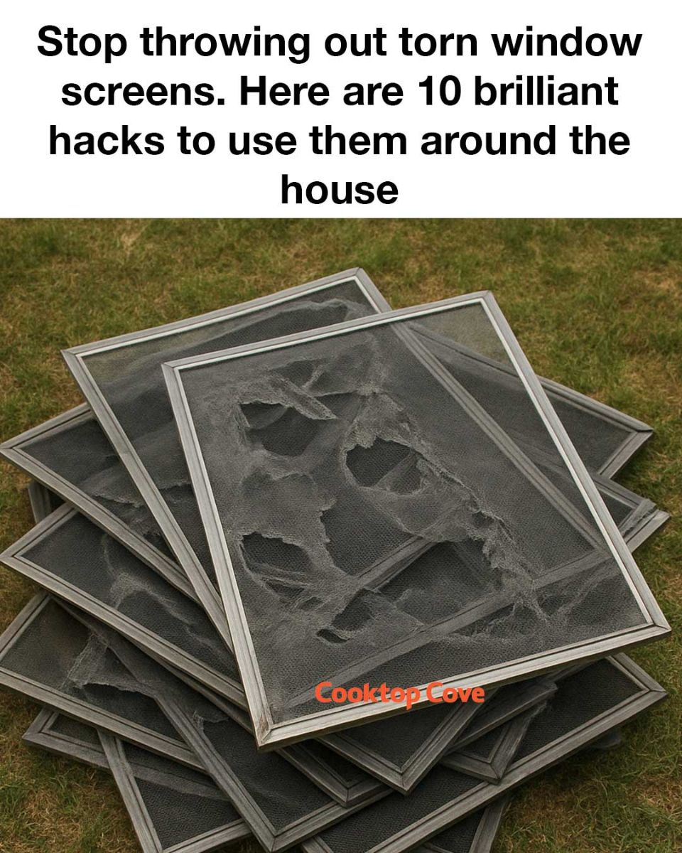 A Desktop Tvphjuf 2 Desktop Tvphjuf 4 Desktop Of2k5ng Desktop Of2k5ng 49 1