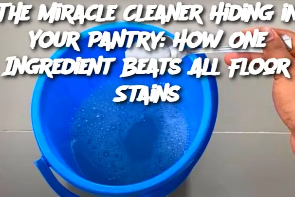 Cropped Image 2025 05 01t140030.040