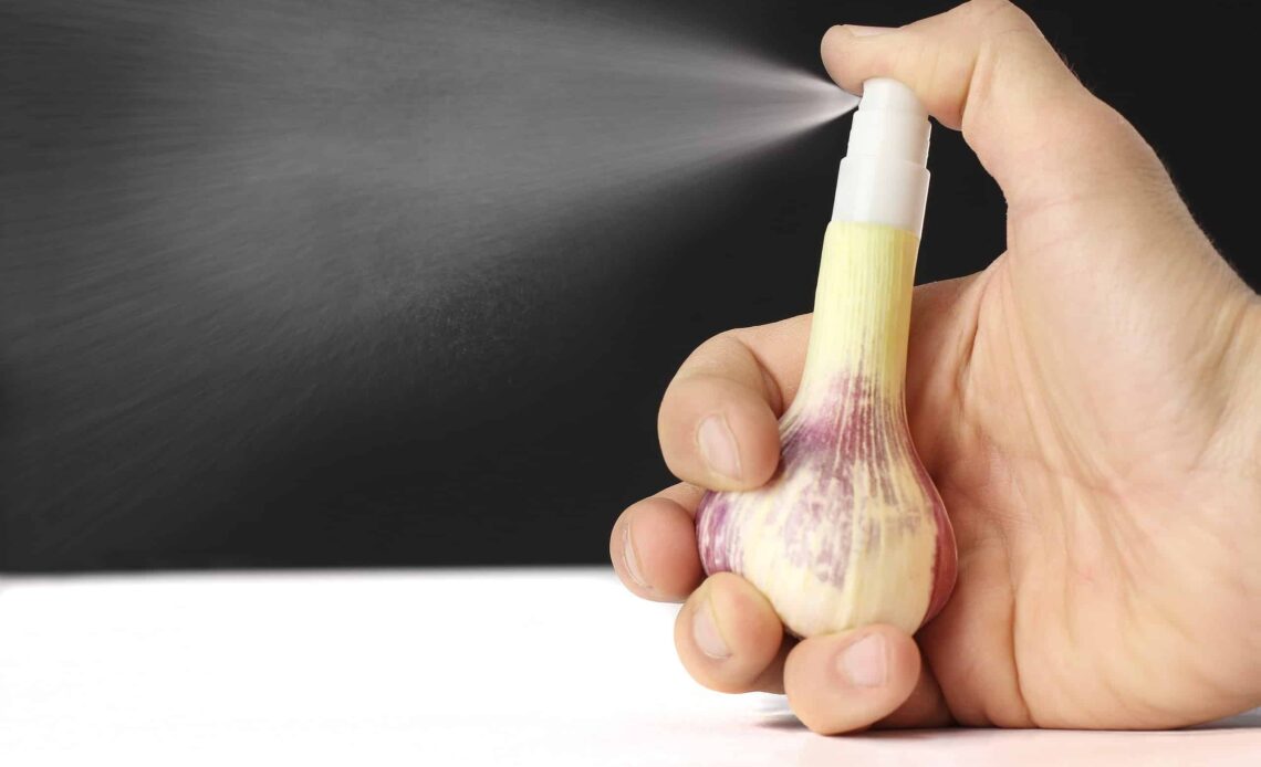 Picture 4180 1140x694