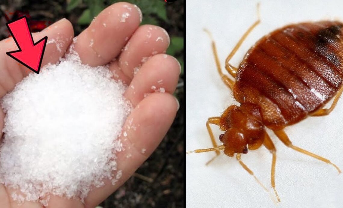 Picture 838 1140x694