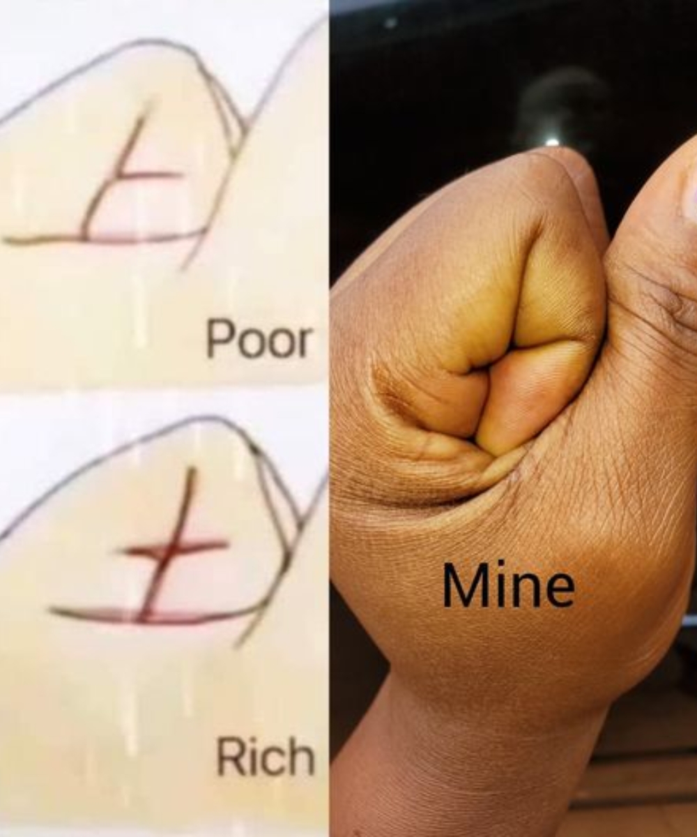 481813167 122195501294090941 480240708053520108 N 68 (1)
