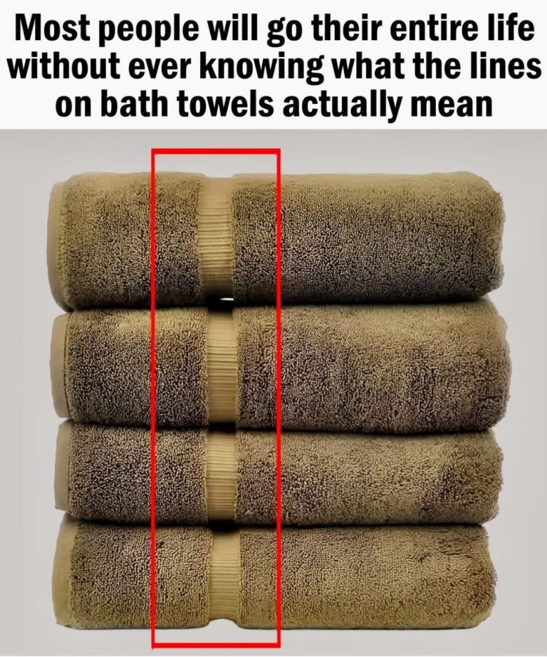 501047692 1266684728183557 1544775326862359277 N