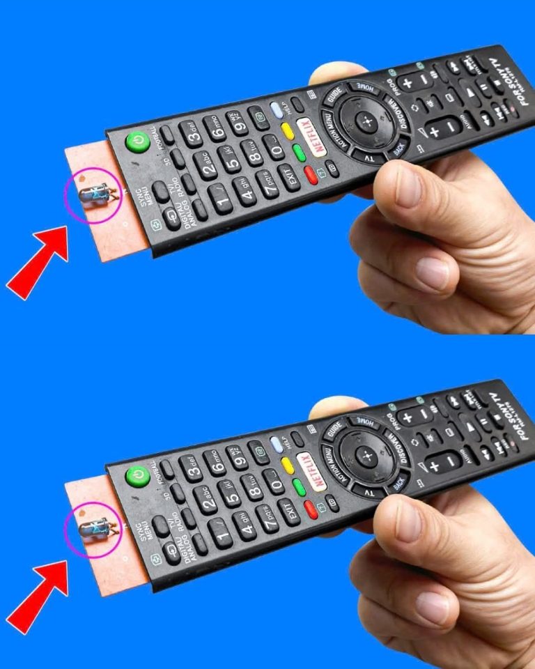 506639939 122128999496421184 3640131846947145102 N