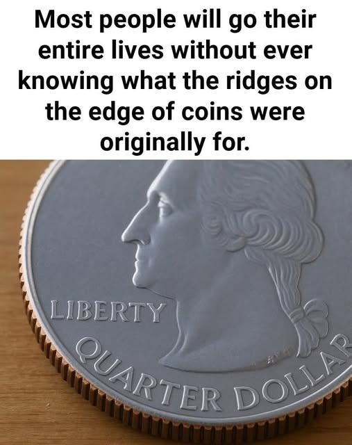 514104103 719751640659355 1661900799201324382 N