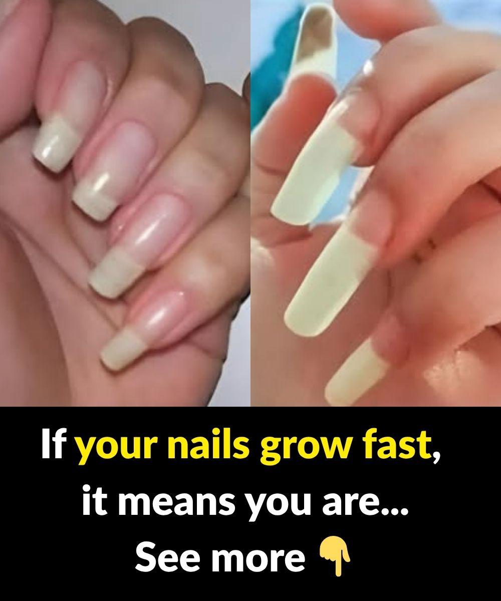 0f7511b7 8617 4b5e B3e1 E384ec1b35a6