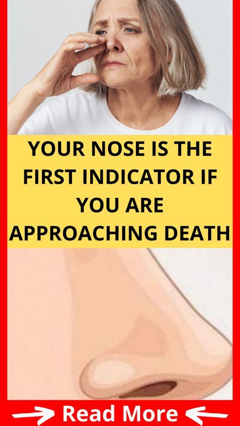 480777364 122147691692454885 1329323167821430304 N