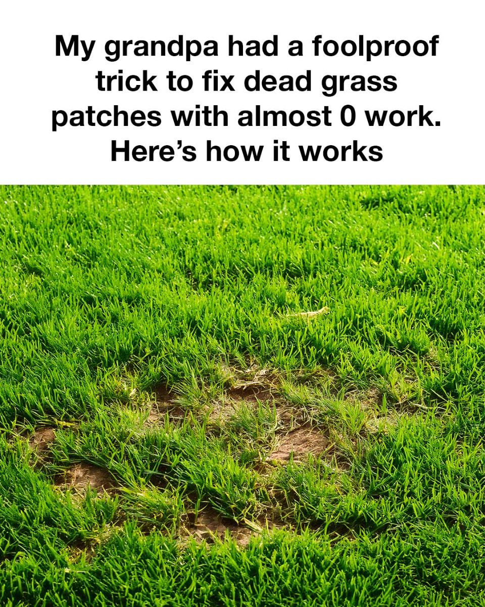 494670662 1165135868746839 3873426531586062015 N 3