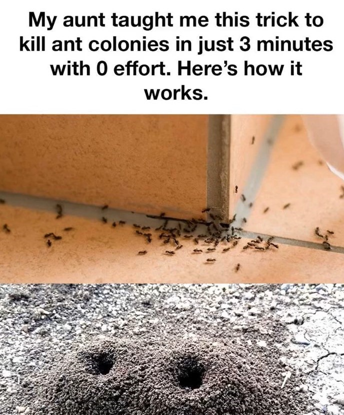 506530777 1195094832415093 298619877640814114 N 1
