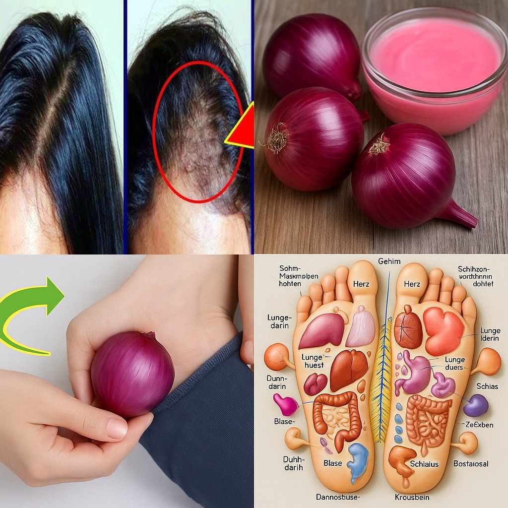 508453648 1132610198903554 1517045734830723535 N (1)