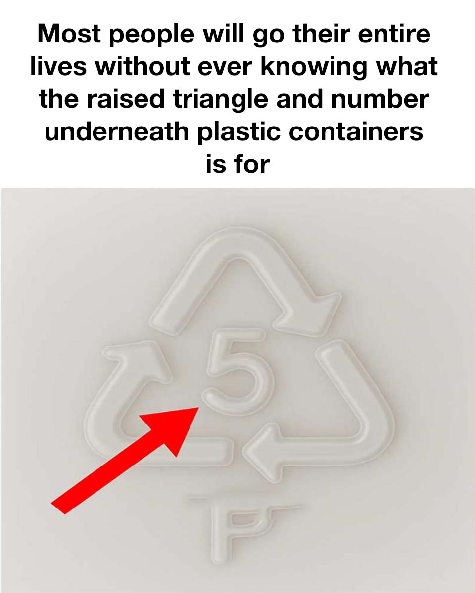 514259535 1057861776538128 8454230569339617875 N