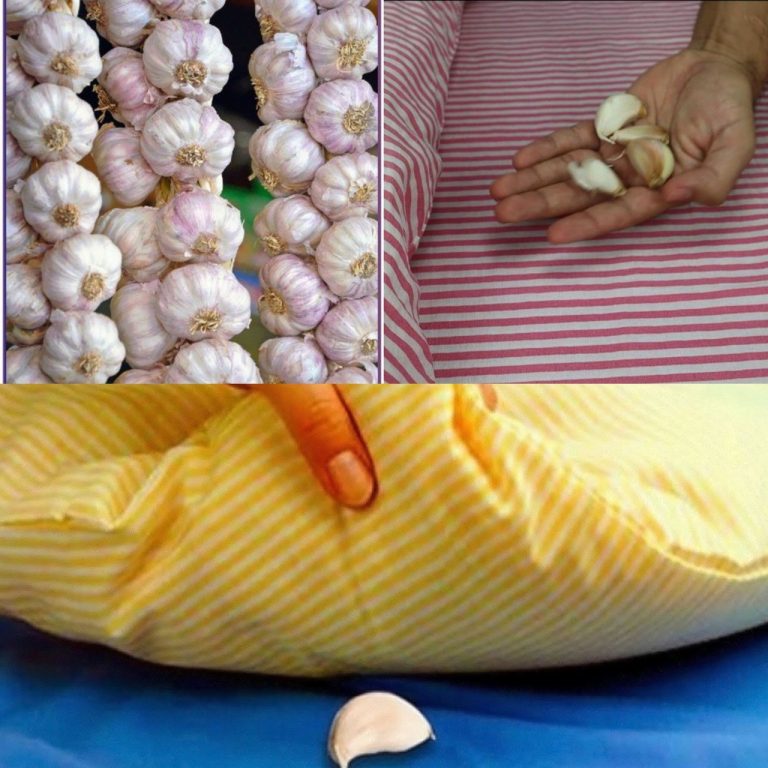 514347366 122104300124933691 217925963320252577 N