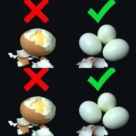 518239950 122236088222217733 9182070692896067175 N 1