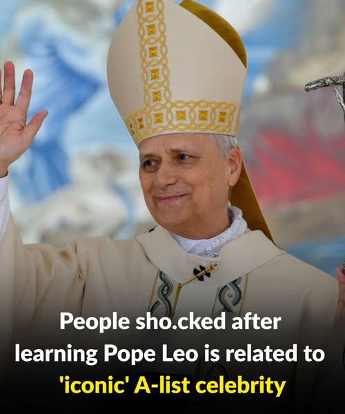 Pope Leo Xiv Is Related To… — And Thats Just The Beginning Of His Incredible Family Tree