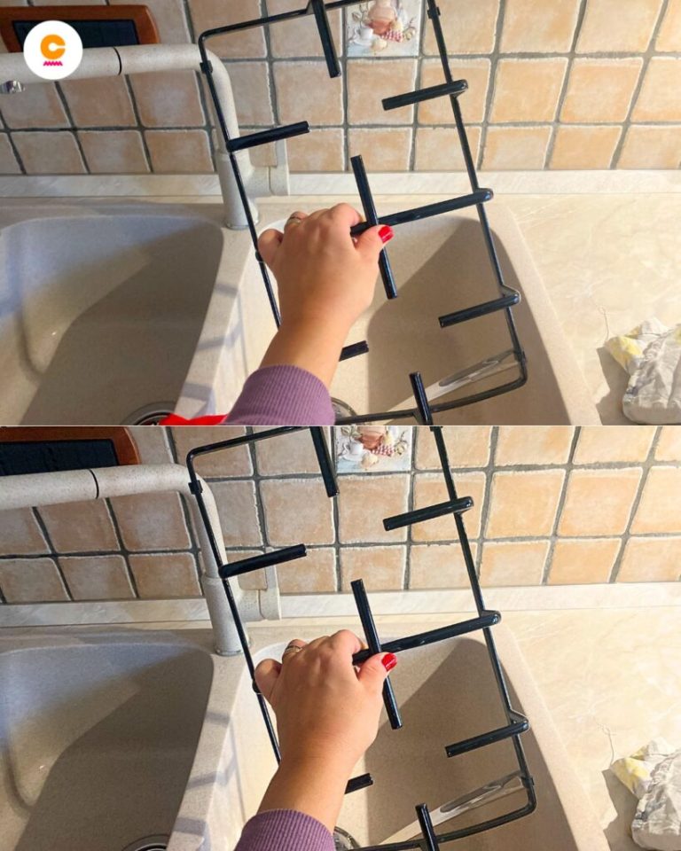 472676123 122153421272477614 9092262072673928864 N 819x1024