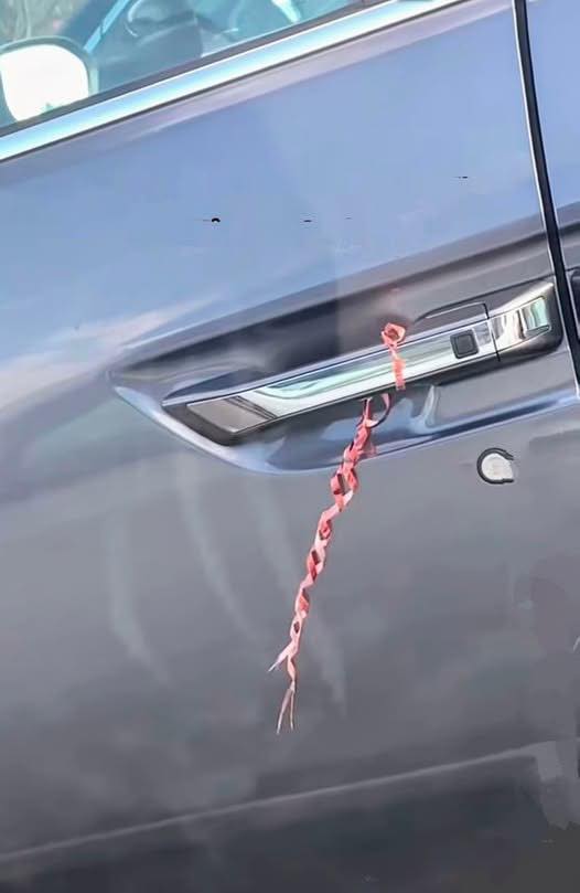494642784 122201298818101863 7968140754576896253 N