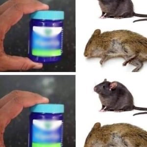 528597627 122214887924101863 4903503562600234964 N