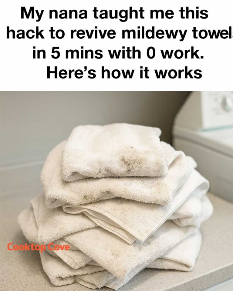 537911955 1206579841513394 4895802461560959784 N