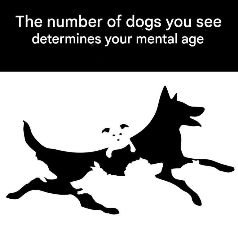 539578905 122097342776997710 4063701331978429488 N